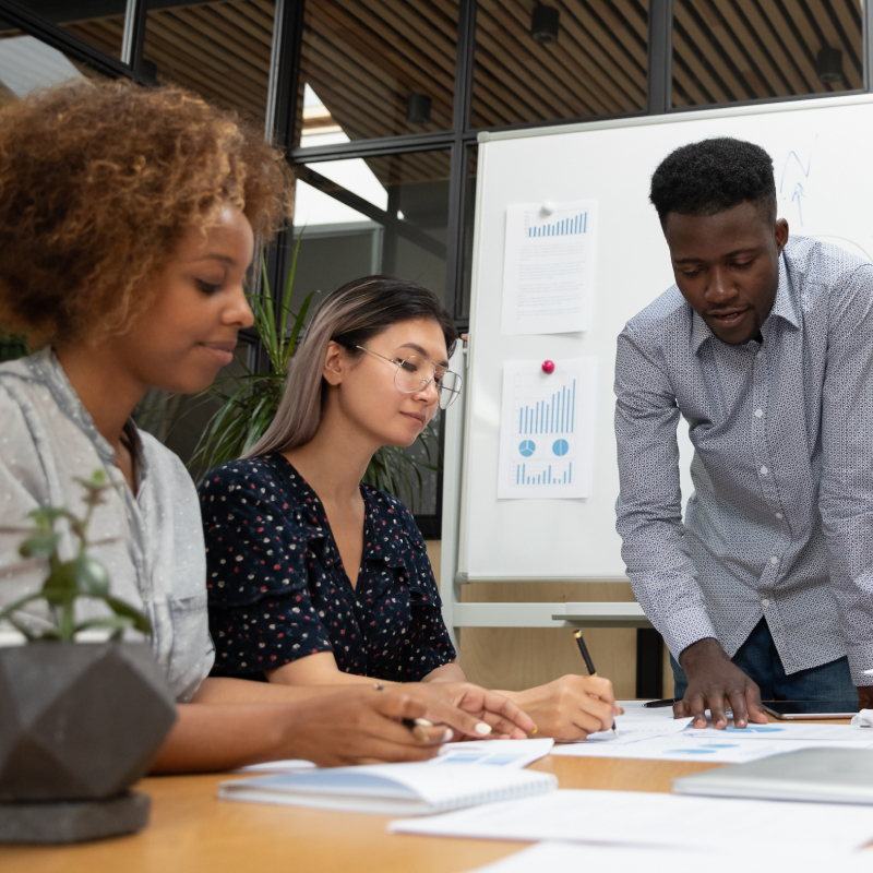 Employment Equity Consulting